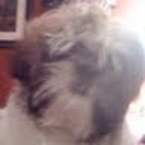 Meet your Posher, Jamie f. - Picture 1 of 1